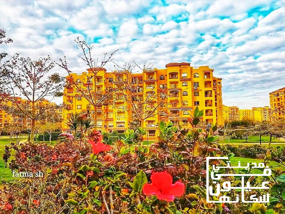 المعرض الأول للصور الفوتوغرافية في مدينتي 3