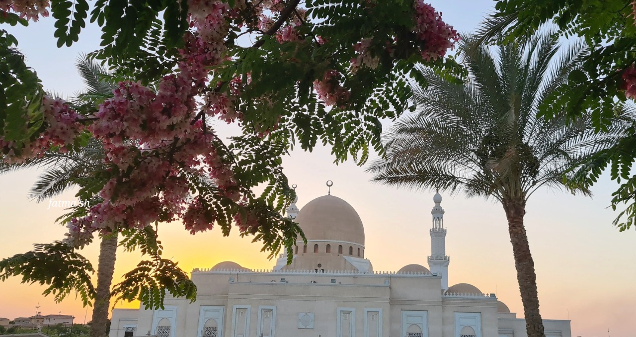 المعرض الأول للصور الفوتوغرافية في مدينتي 10