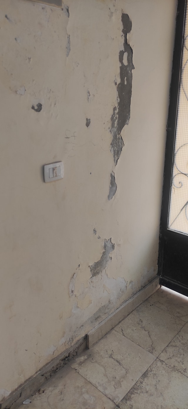 عمارة النرجس 9