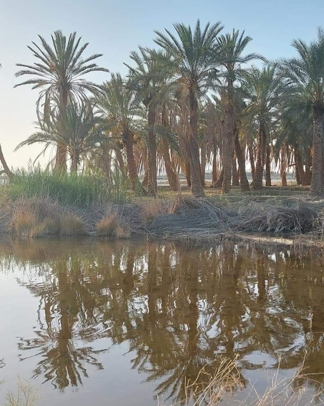 بالصور.. الري ترتكب كارثة بتجفيف بحيرة فطناس بسيوة