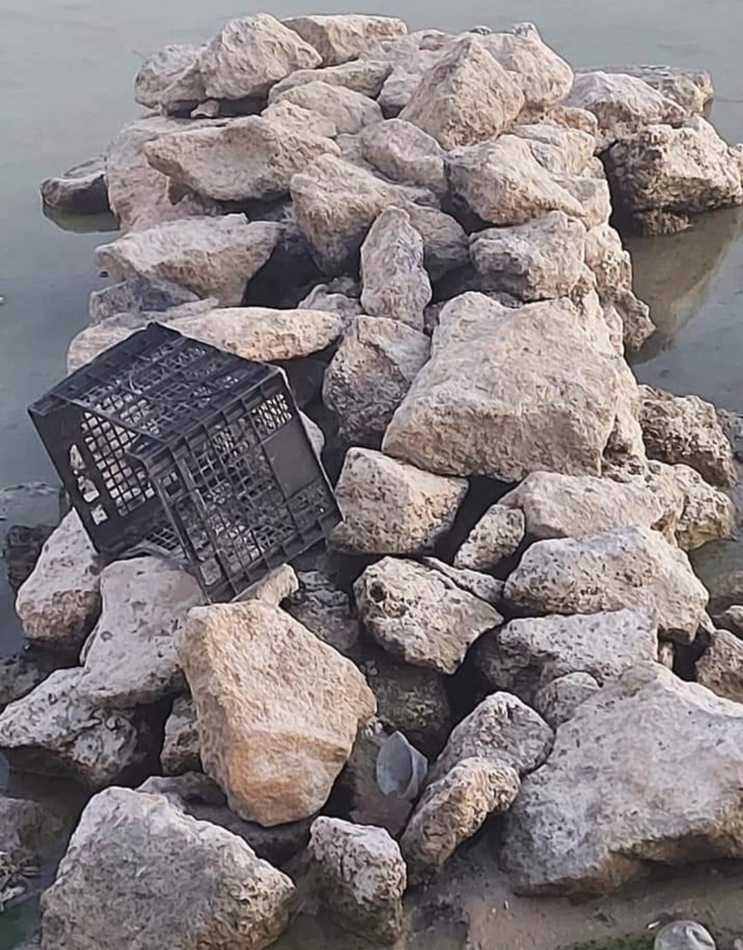 بالصور.. الري ترتكب كارثة بتجفيف بحيرة فطناس بسيوة