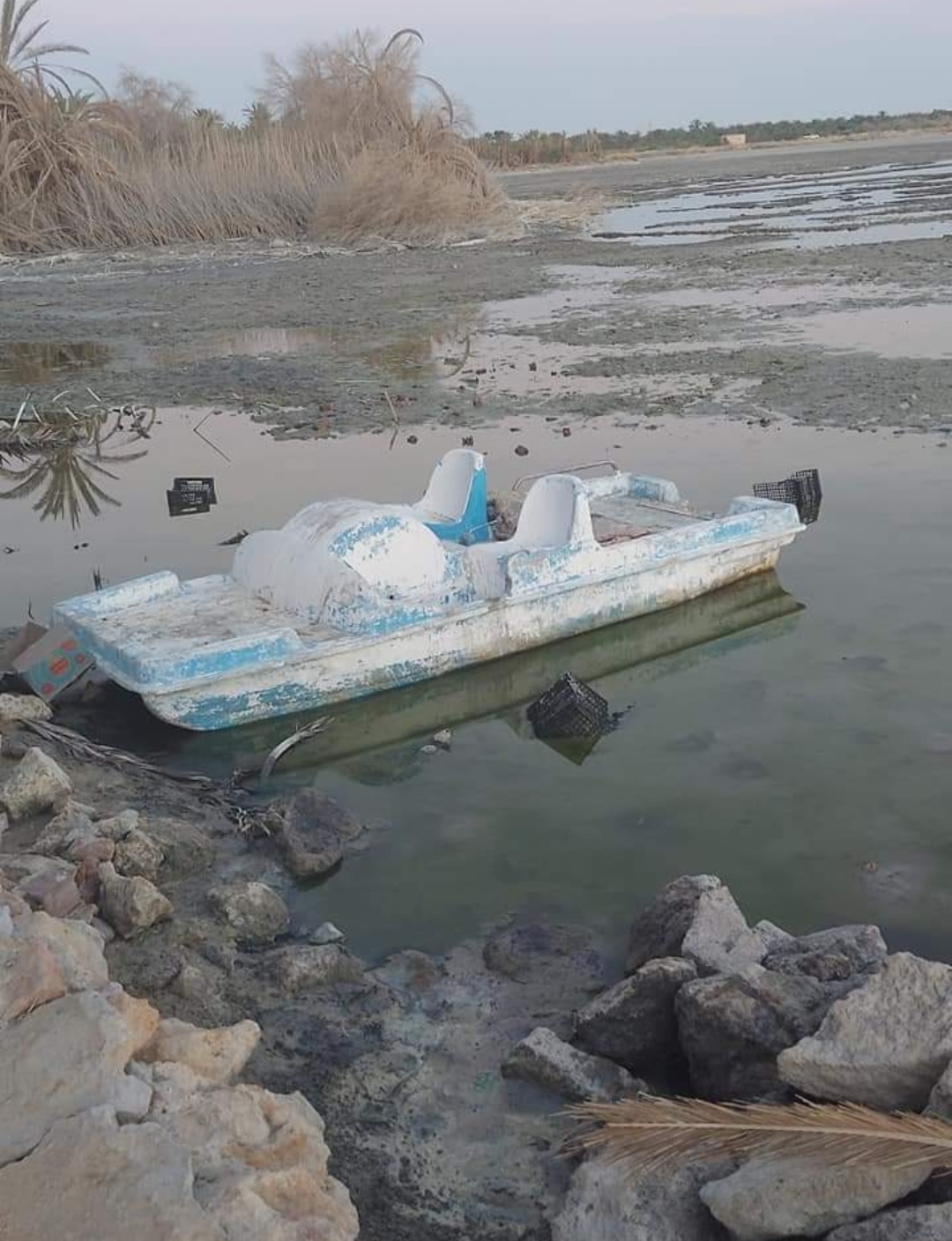 بالصور.. الري ترتكب كارثة بتجفيف بحيرة فطناس بسيوة