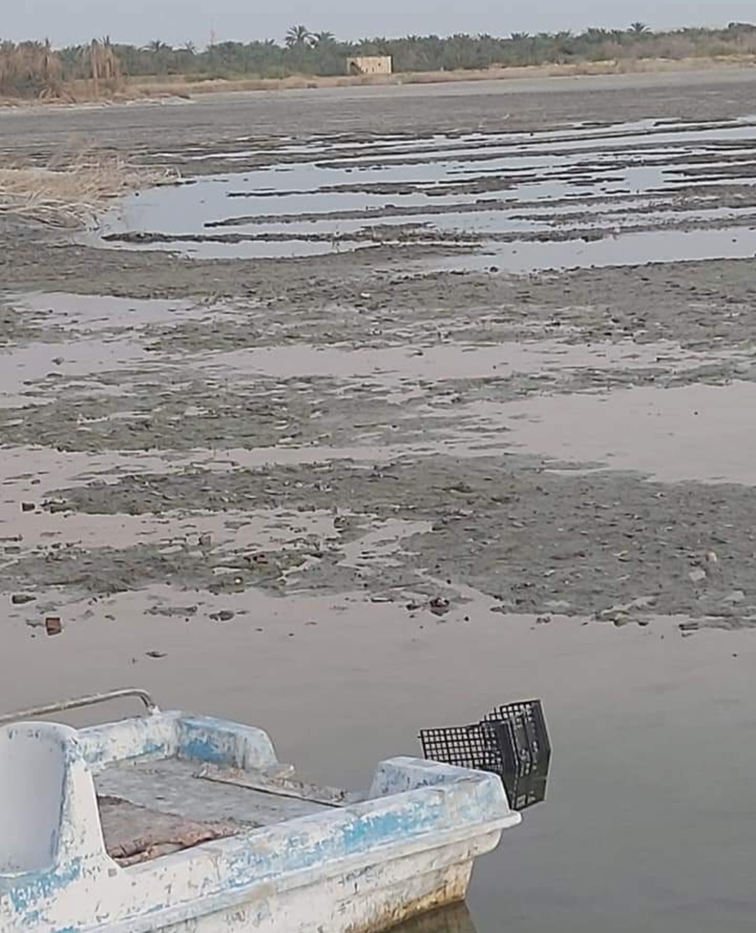 بالصور.. الري ترتكب كارثة بتجفيف بحيرة فطناس بسيوة