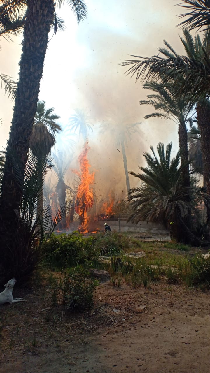 IMG-20240121-WA0081