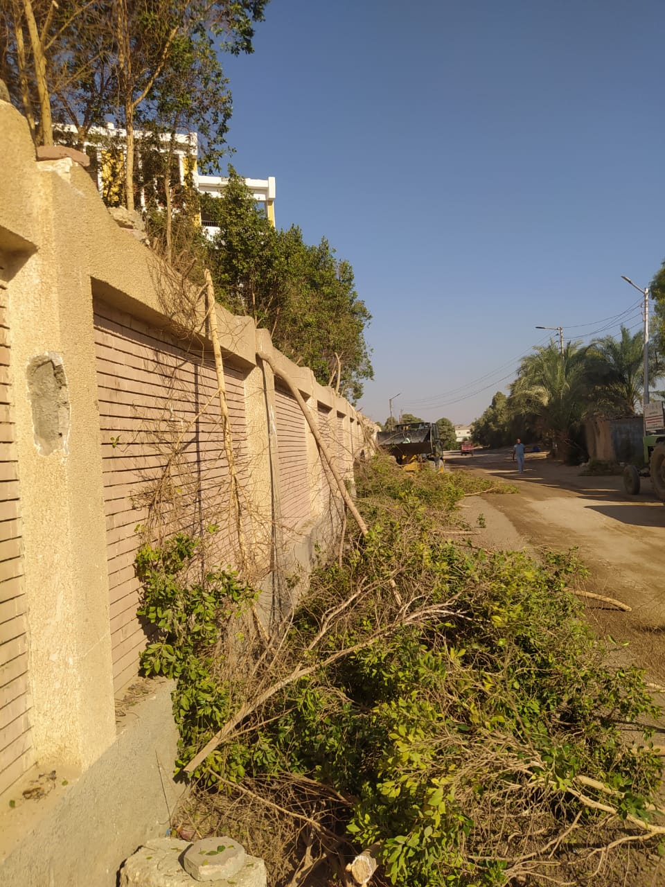 IMG-20240929-WA0041