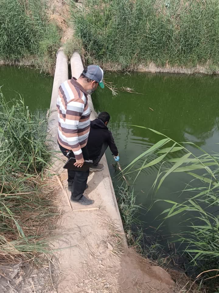 FB_IMG_1733593462819