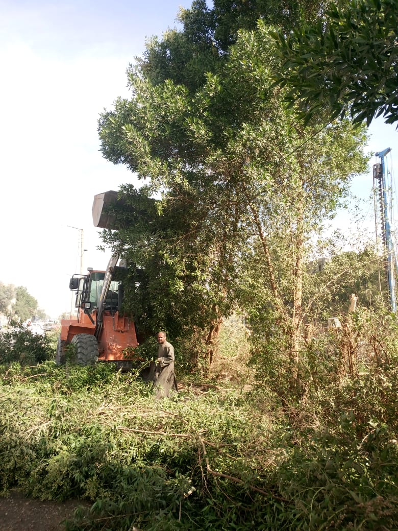 IMG-20241219-WA0101