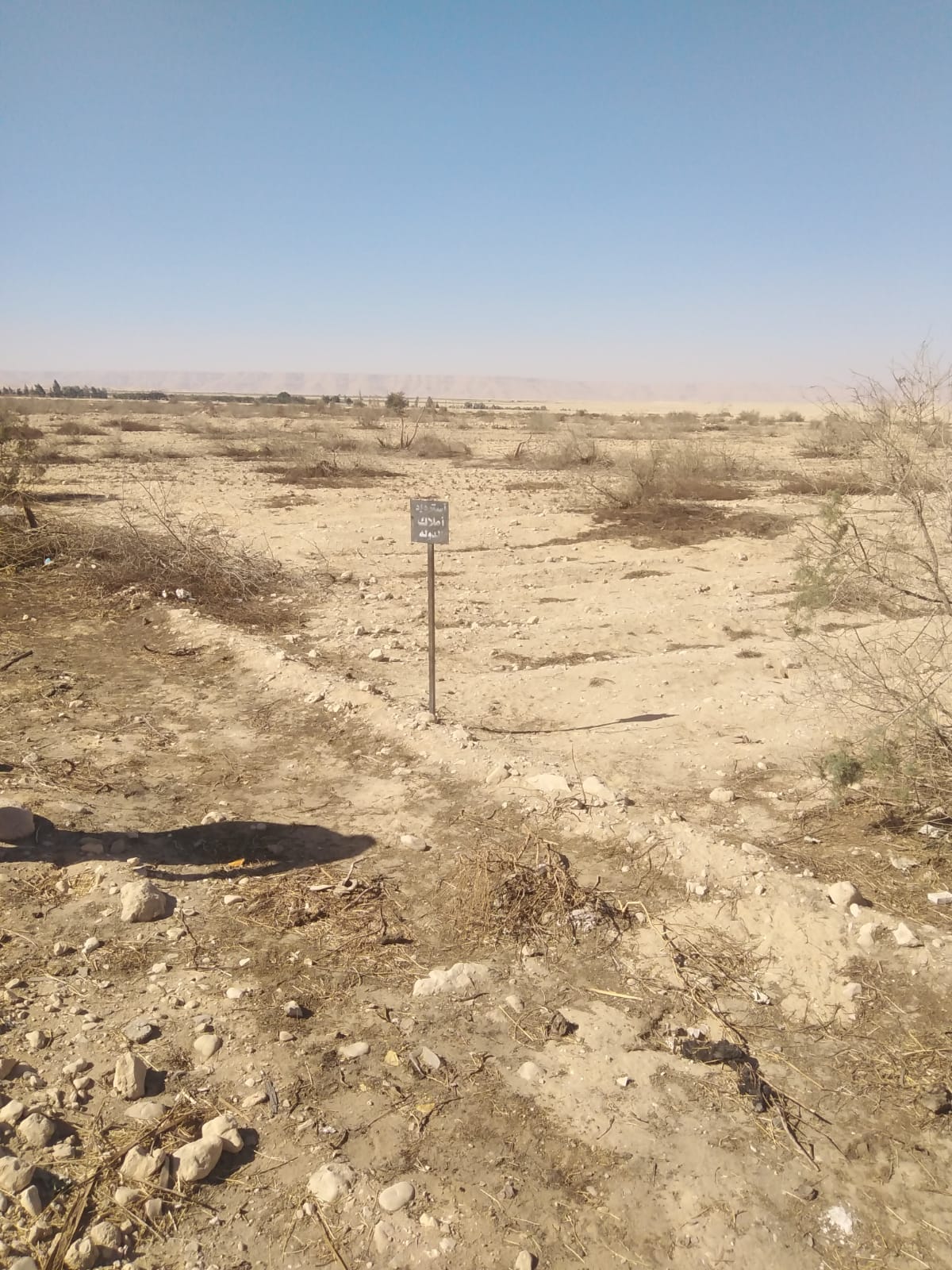 IMG-20250213-WA0005