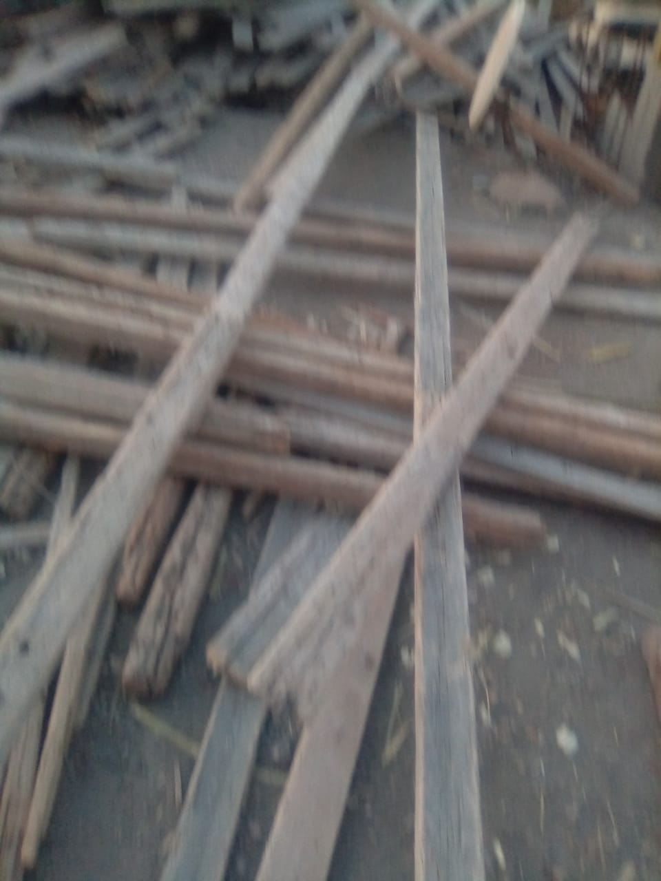 IMG-20250221-WA0028