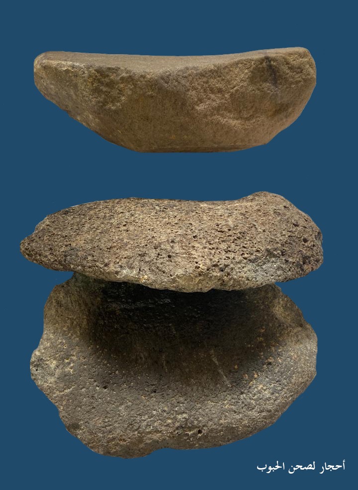 7d5cc009-6b52-4f00-b6f2-87f7fba476a5