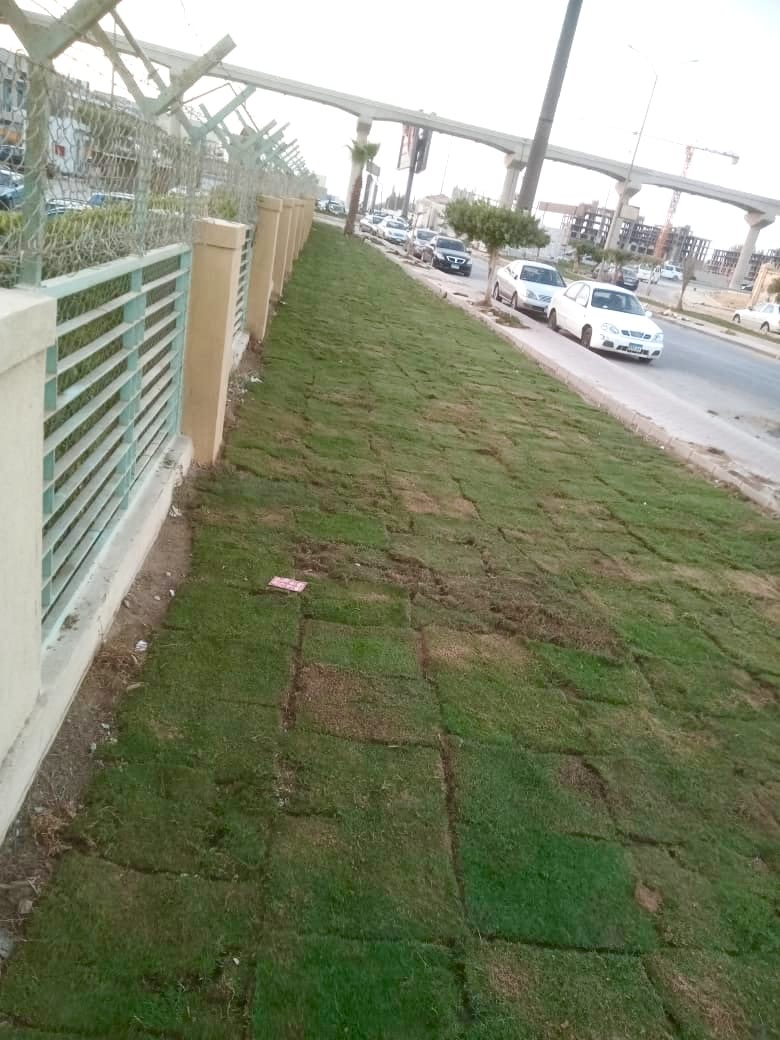 a71b298e-c53f-4f5b-b3a6-489f124f1b11