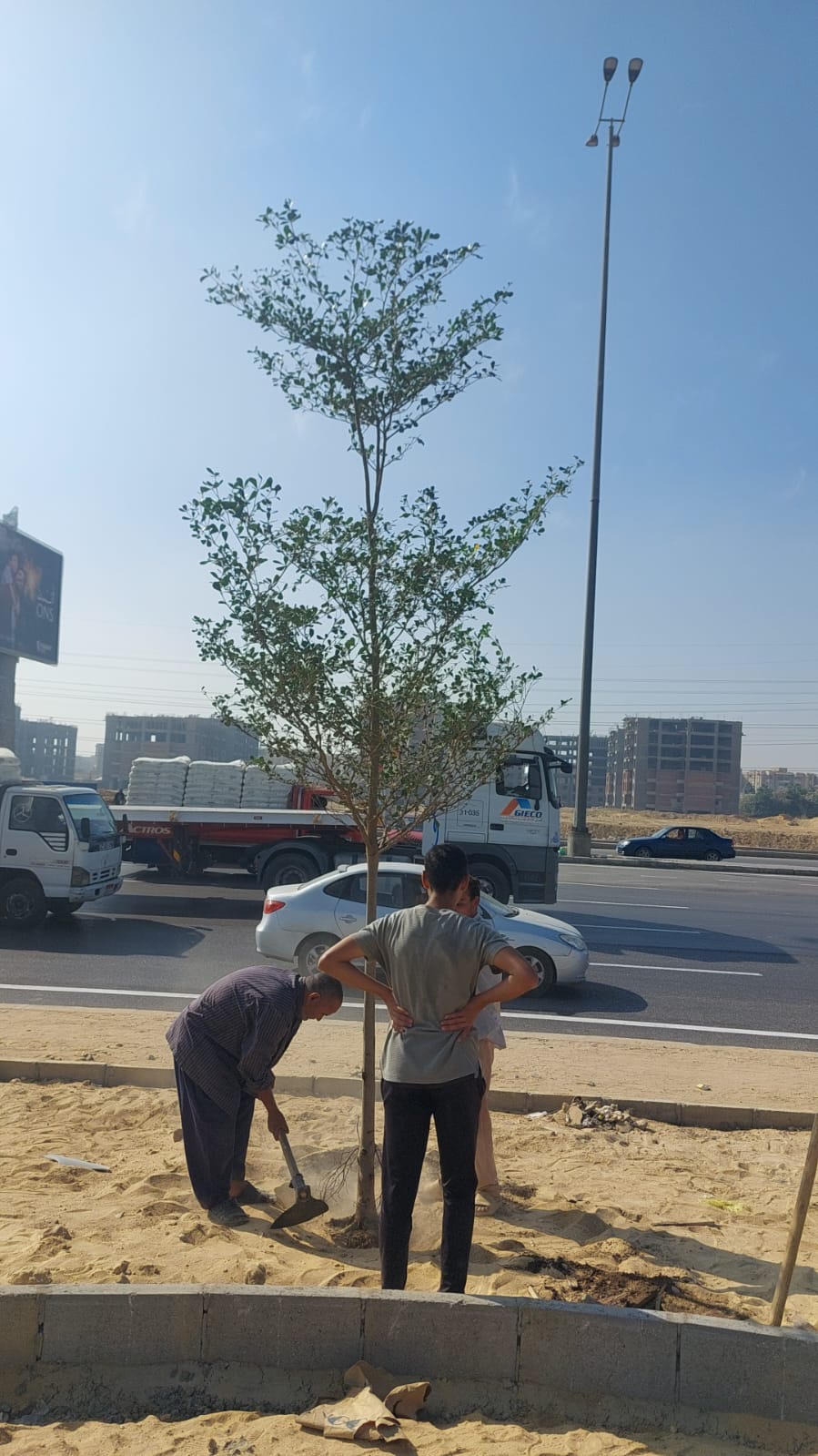 c113b1ec-6fb0-4afe-9bc7-80079f3a8217