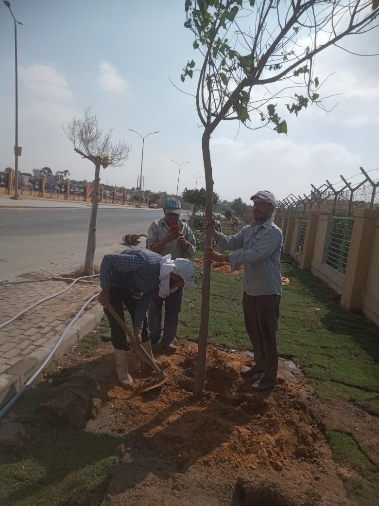 d2eada61-47bc-4dd4-a95d-d7575d5f3708