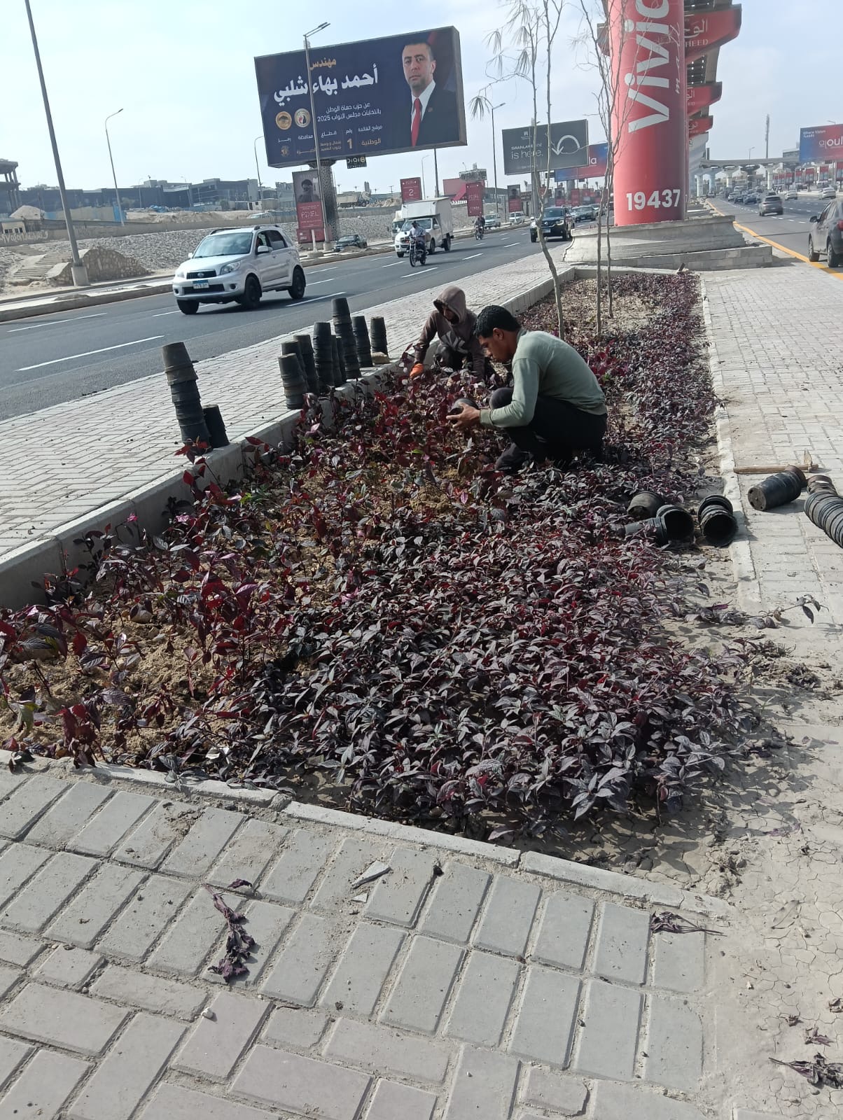 9b4af36c-380d-4c19-9f9a-725d79ca3748