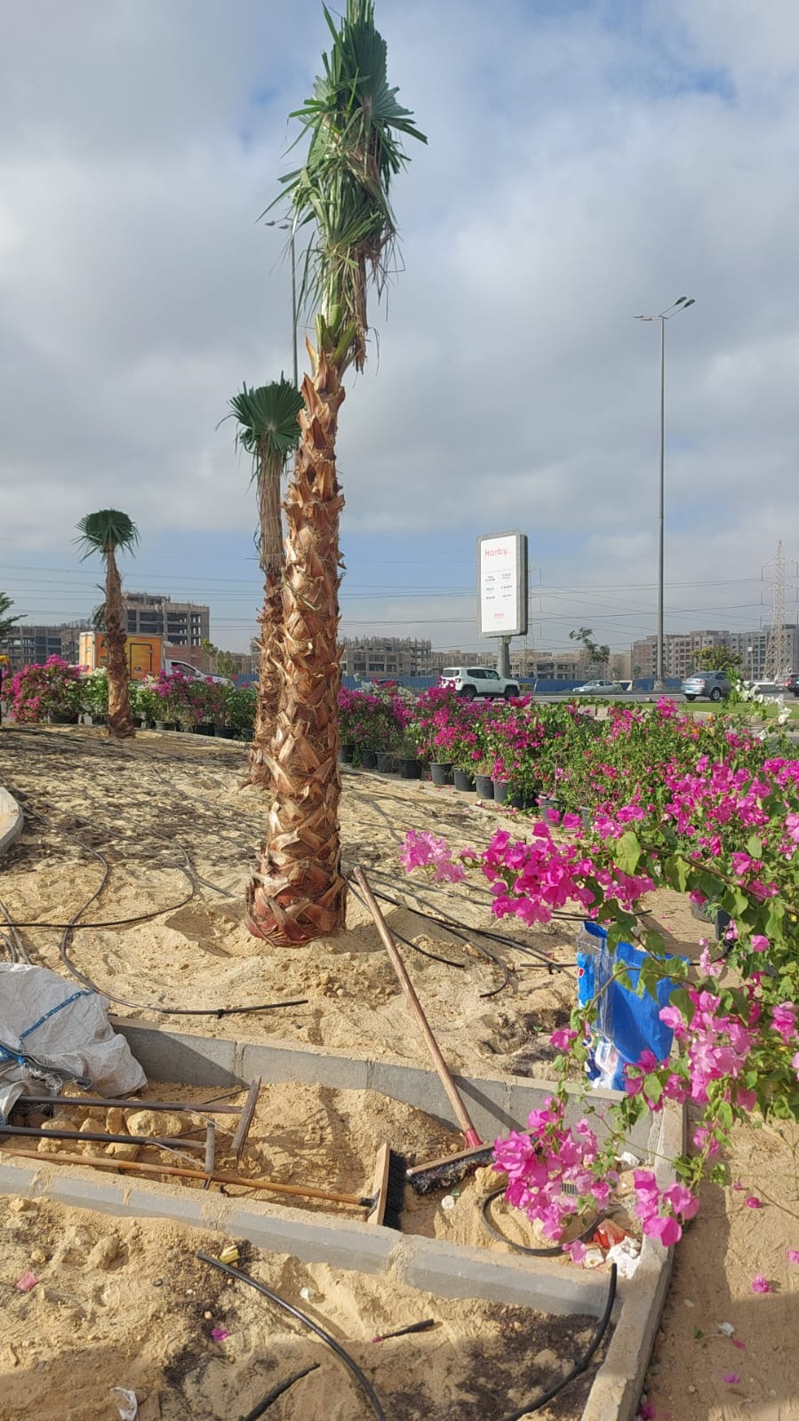 5709138c-f176-4c9a-88c3-d4a2282487a6