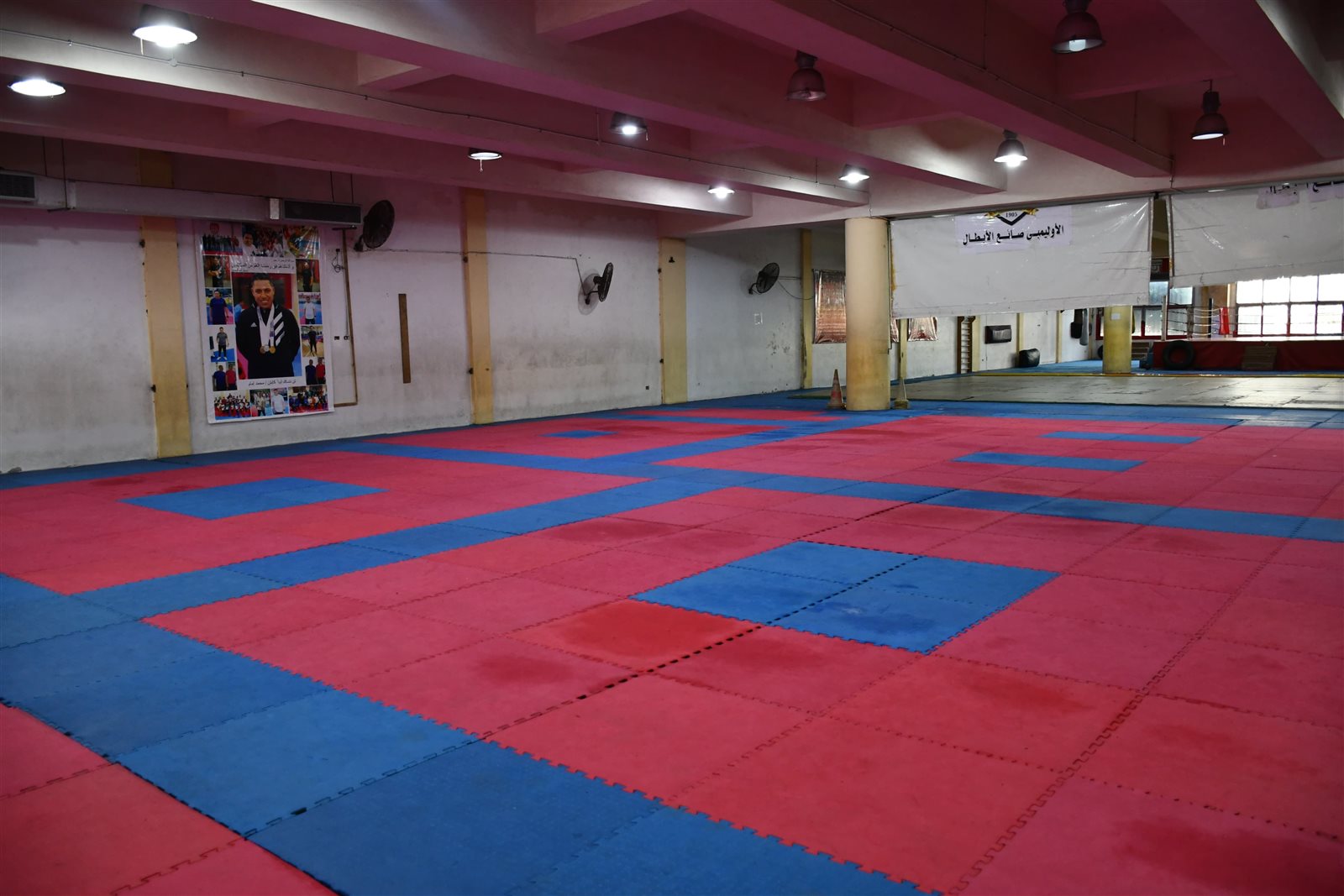 dd269d5f-120c-4ec3-b3a2-fb010fb65f08