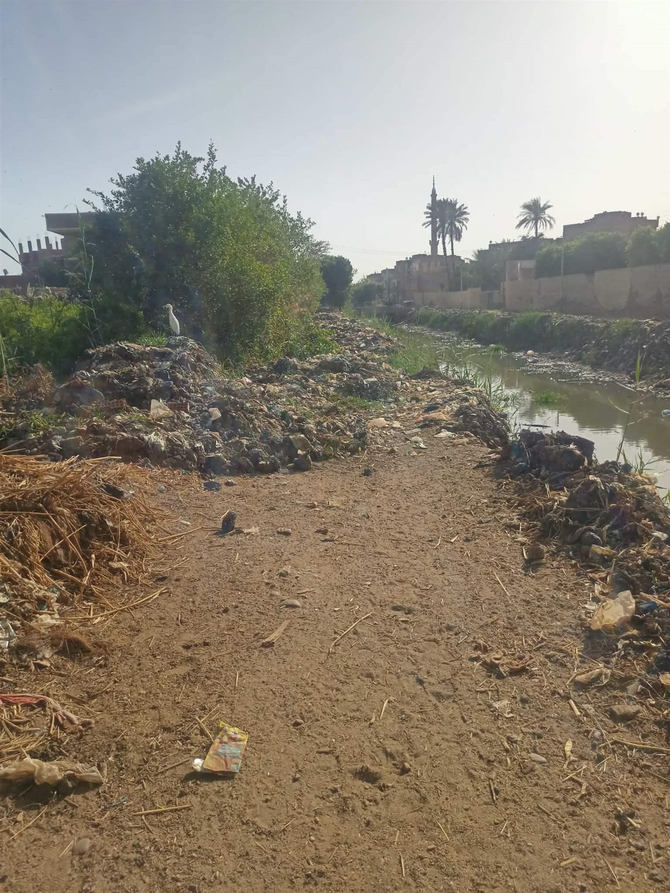 Messenger_creation_8209AC5B-F315-47A5-AE81-1ADCDB3ACB88