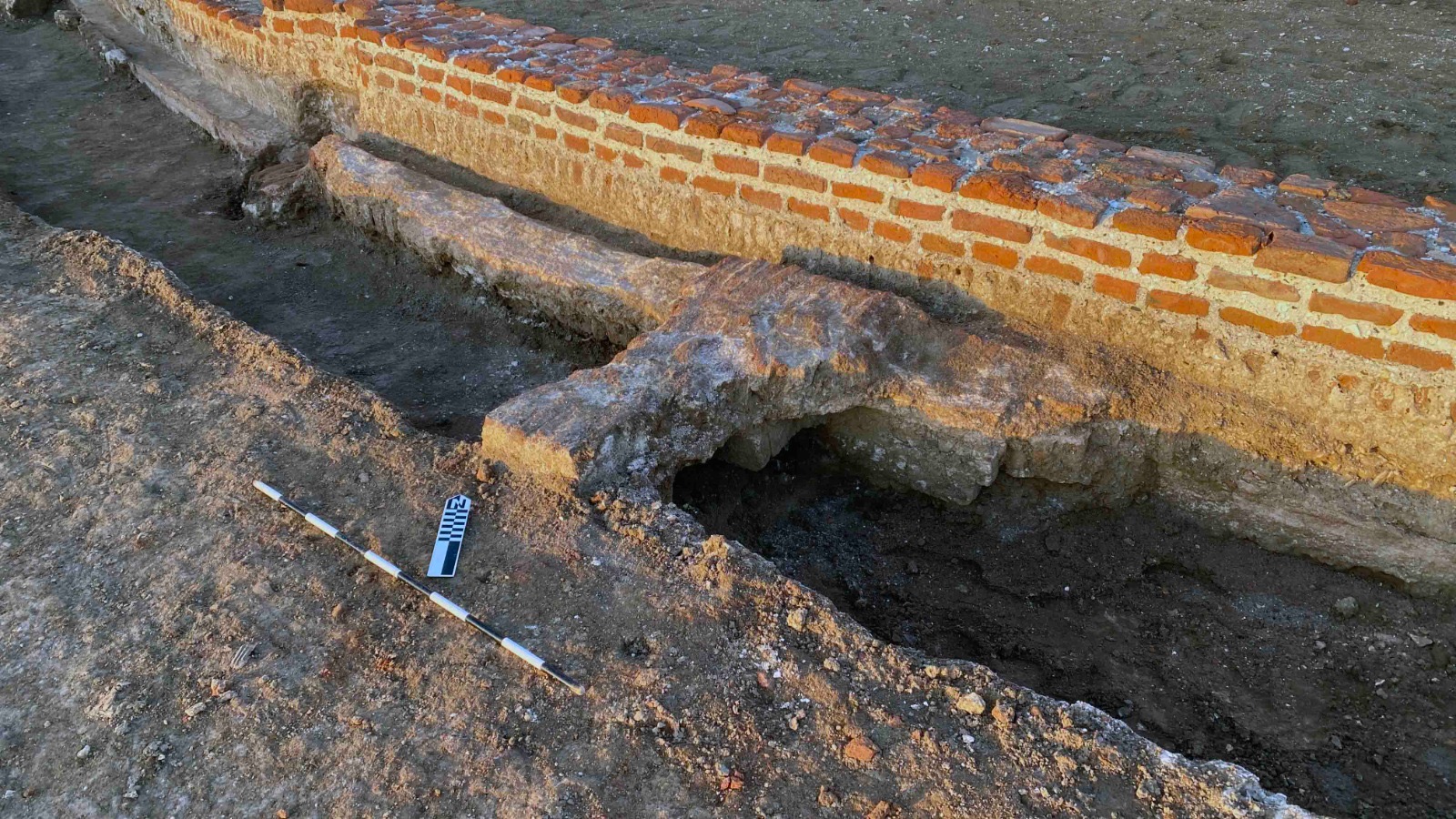 e8d00779-f8ce-458e-a675-2c33d88699c4