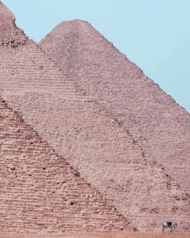 WhatsApp Image 2026-04-11 at 5.22.27 PM (2)