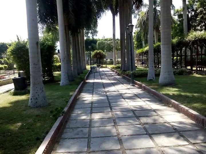 WhatsApp Image 2026-04-26 at 2.06.45 PM (1)