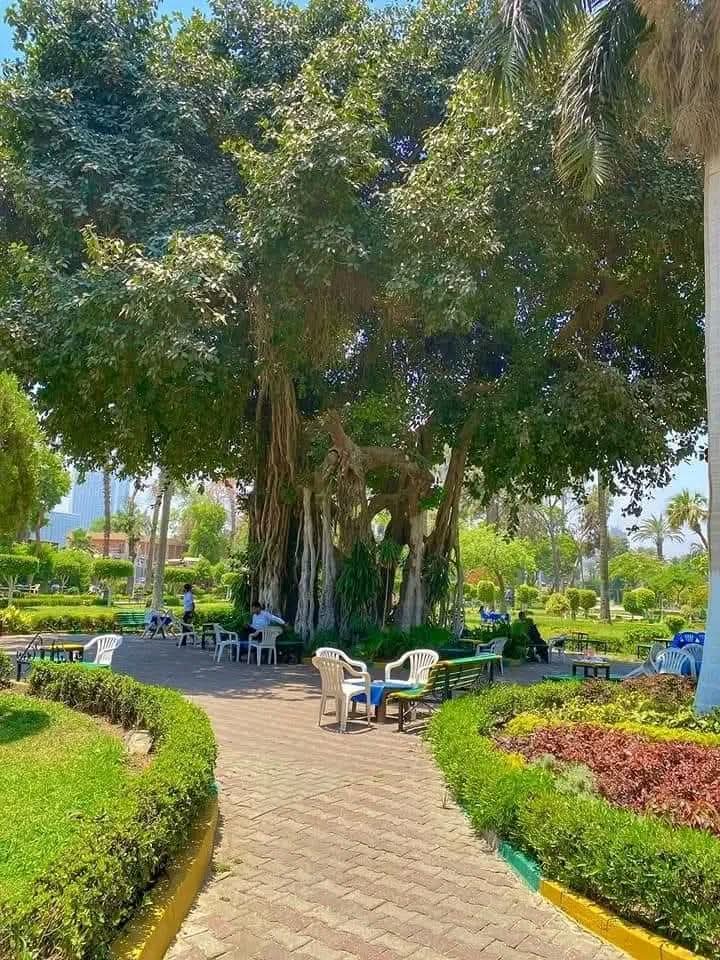 WhatsApp Image 2026-04-26 at 2.06.44 PM (4)