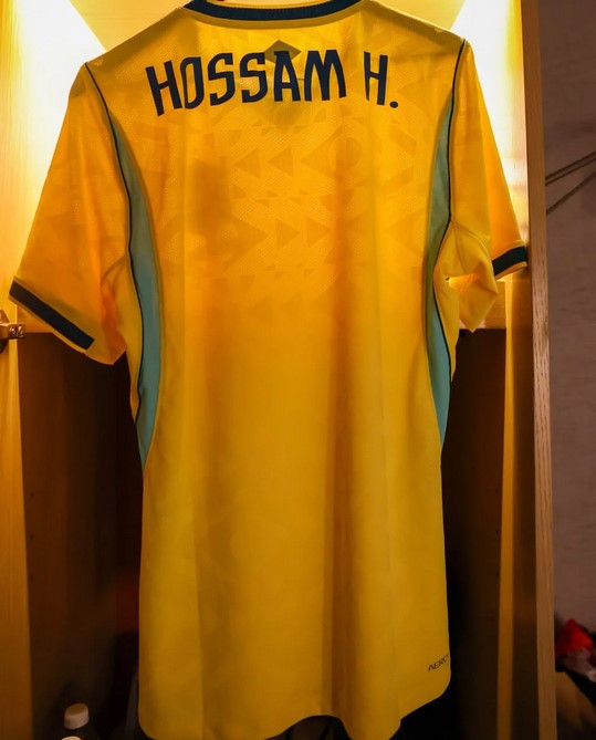 حسام حسن
