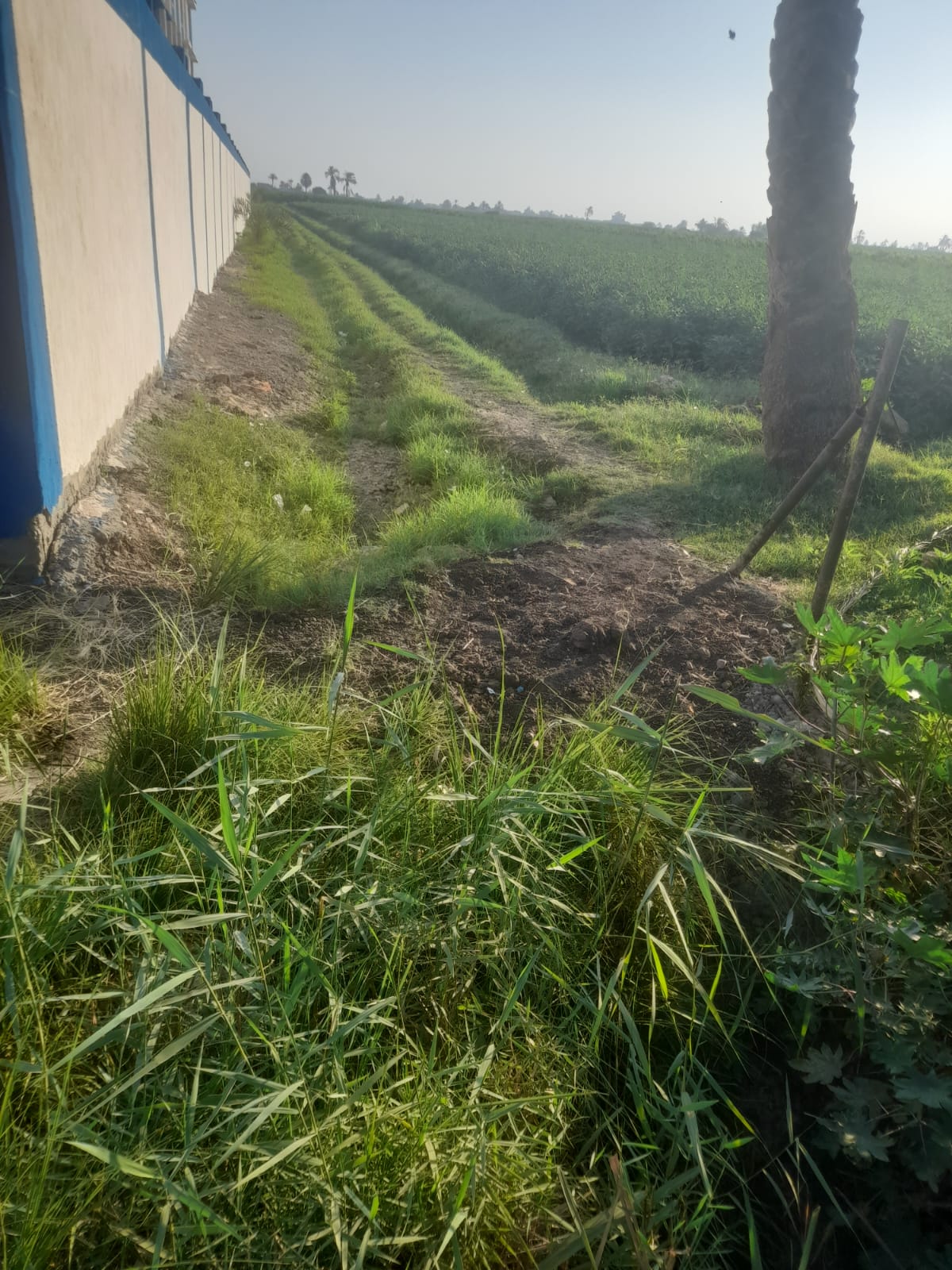 IMG-20260718-WA0035(1)