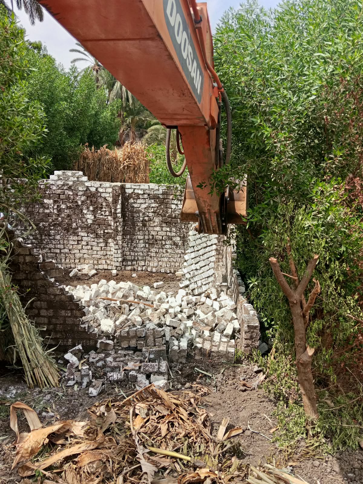 1000232262