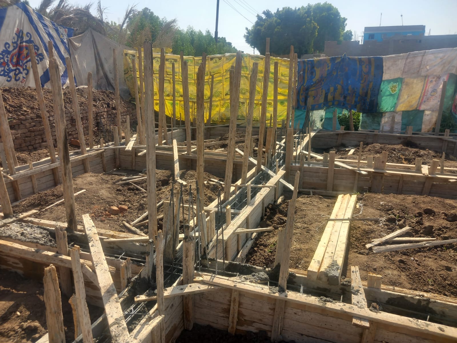 1000238242