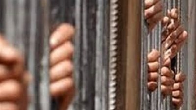 القبض علي 7 إخوانيين أثناء تفجيرهم برجين كهرباء بالقليوبية