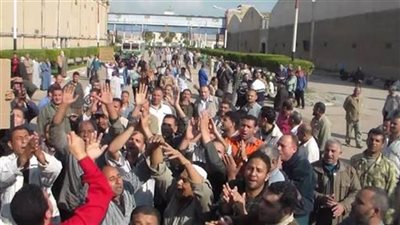 اعتصام عمال النيل لحليج الأقطان بالمحلة 