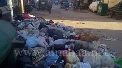 القمامة تحاصر «سكة دمرو» بالمحلة الكبرى
