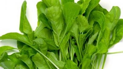 الدهون وأضرارالتدخين.. 15 مشكلة يحاربها الجرجير