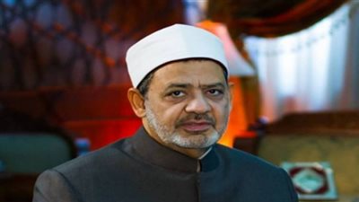 السفير المصري بـ«أبوجا» يبحث ترتيبات زيارة شيخ الأزهر لنيجيريا