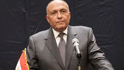 «شكرى»: نسعى لوقف أضرار سد النهضة على مصر