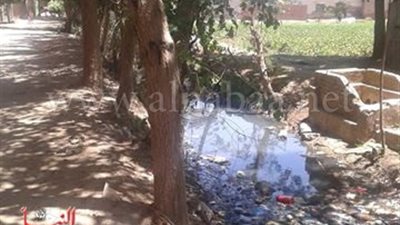 ردم ترعة «أبو سلوك» في الغربية بالقمامة
