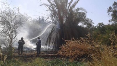 اندلاع حريق هائل داخل مزرعة نخيل بالواحات 