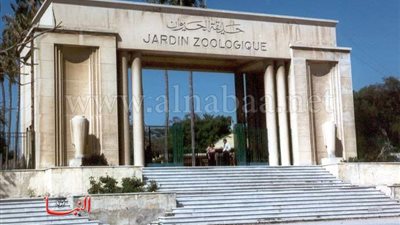 بالصور.. سور حديقة حيوان الإسكندرية «مهدد بالإنهيار»