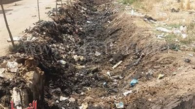 مصرف «الشوربجي» في الغربية يحتاج إلى التطهير