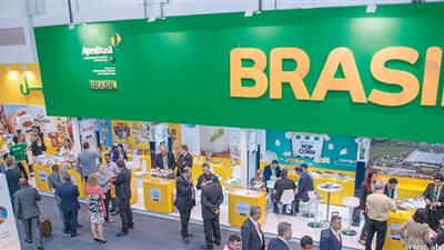 وزير اقتصاد البرازيل: العجز في ميزانية العام الجاري أسوأ مما كان متوقعًا