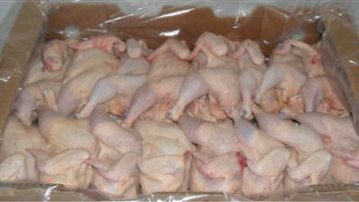 ضبط ثلاجة داخلها 2 طن لحوم ودواجن فاسدة بالقليوبية 