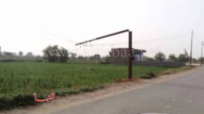 عمود كهرباء «آيل للسقوط» ينذر بوقوع كارثة في طنطا