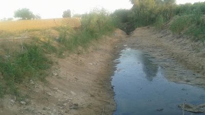 تبوير 100 فدان فى البحيرة بسبب مياه الرى.. والمسئولون «نايمين»