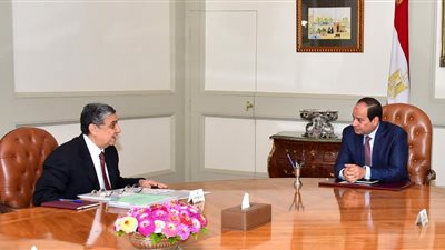 السيسي يكلف بمكافحة تسريب التيار الكهربائي