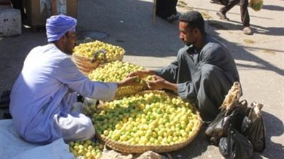 الليمون يُسجل 40 جنيهًا للكيلو في قنا.. والمزارعون: «سينخفض أخر الشهر» 