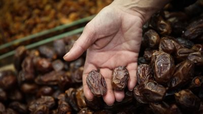إسرائيل تسيطر على سوق التمر فى العالم 