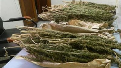 القبض على عاطل بحيازته كمية من «البانجو» بإدفو 