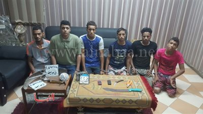  بالصور.. تفاصيل القبض على «فرخة وبيضة» بالقليوبيه 