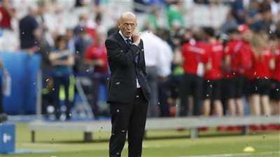 بالصور.. «الجراد» يحتل ملعب نهائي اليورو بين فرنسا والبرتغال