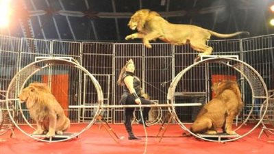 السيرك القومي في زامبيا للمشاركة في مهرجان دولي